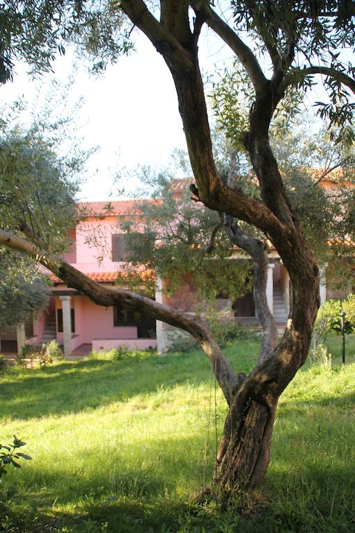 Residence Approdo Verde San Teodoro  Habitación foto